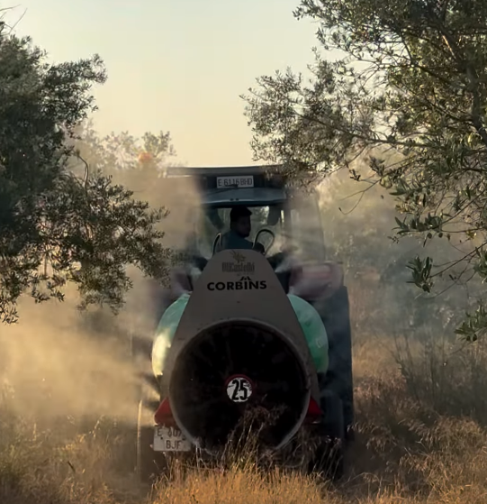 Aprenent de l’experiència: els probiòtics als camps d’oliveres